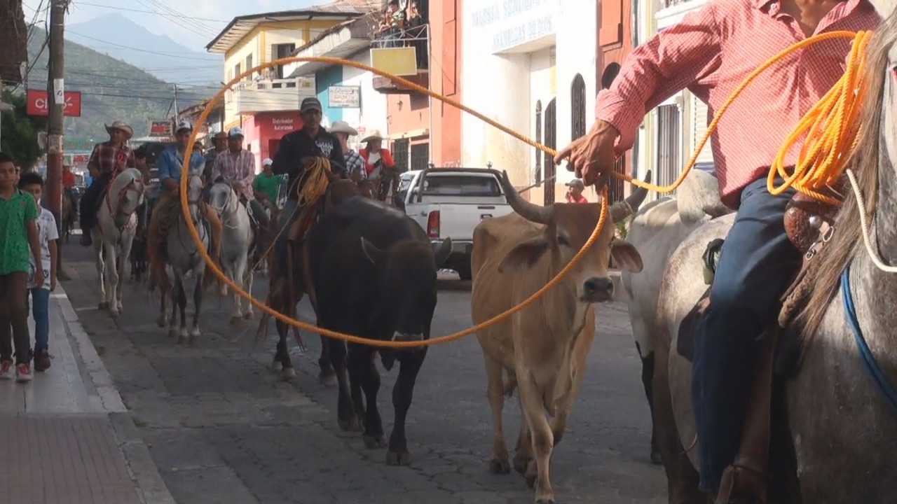 Toros1
